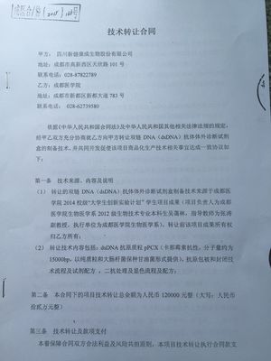 生物醫(yī)學(xué)系大學(xué)生創(chuàng)新創(chuàng)業(yè)成果轉(zhuǎn)化實(shí)現(xiàn)重大突破，兩項(xiàng)創(chuàng)新成果成功轉(zhuǎn)讓